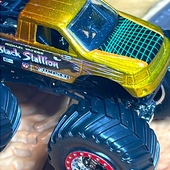 Black Stallion - Picture 2 of 3